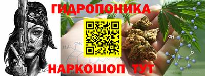 стафф Жуковский