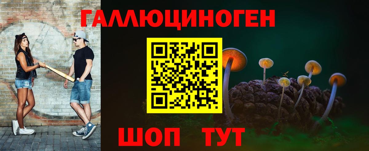 Псилоцибиновые грибы Psilocybine cubensis  Псилоцибиновые грибы мухоморы  Вход с VPN  Малгобек 