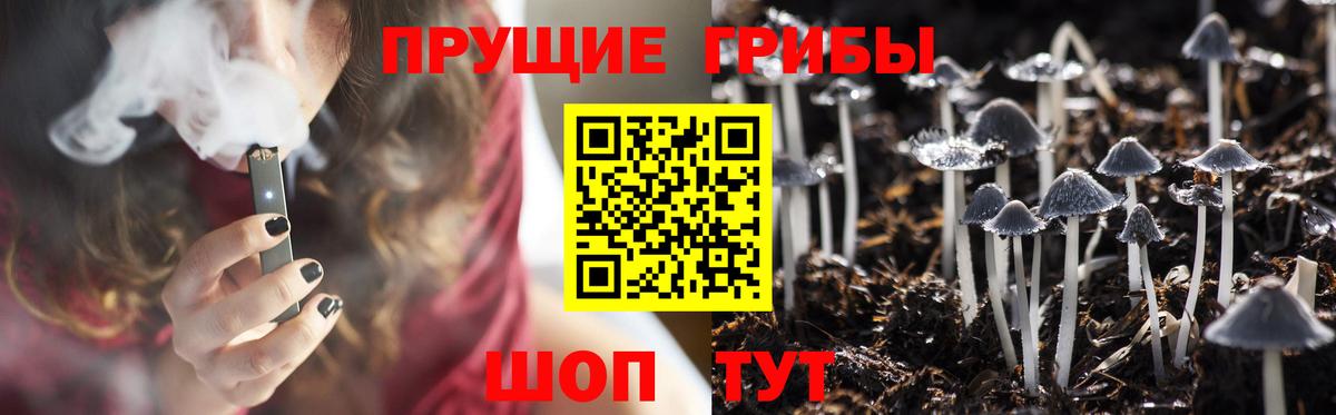 Галлюциногенные грибы GOLDEN TEACHER Малгобек